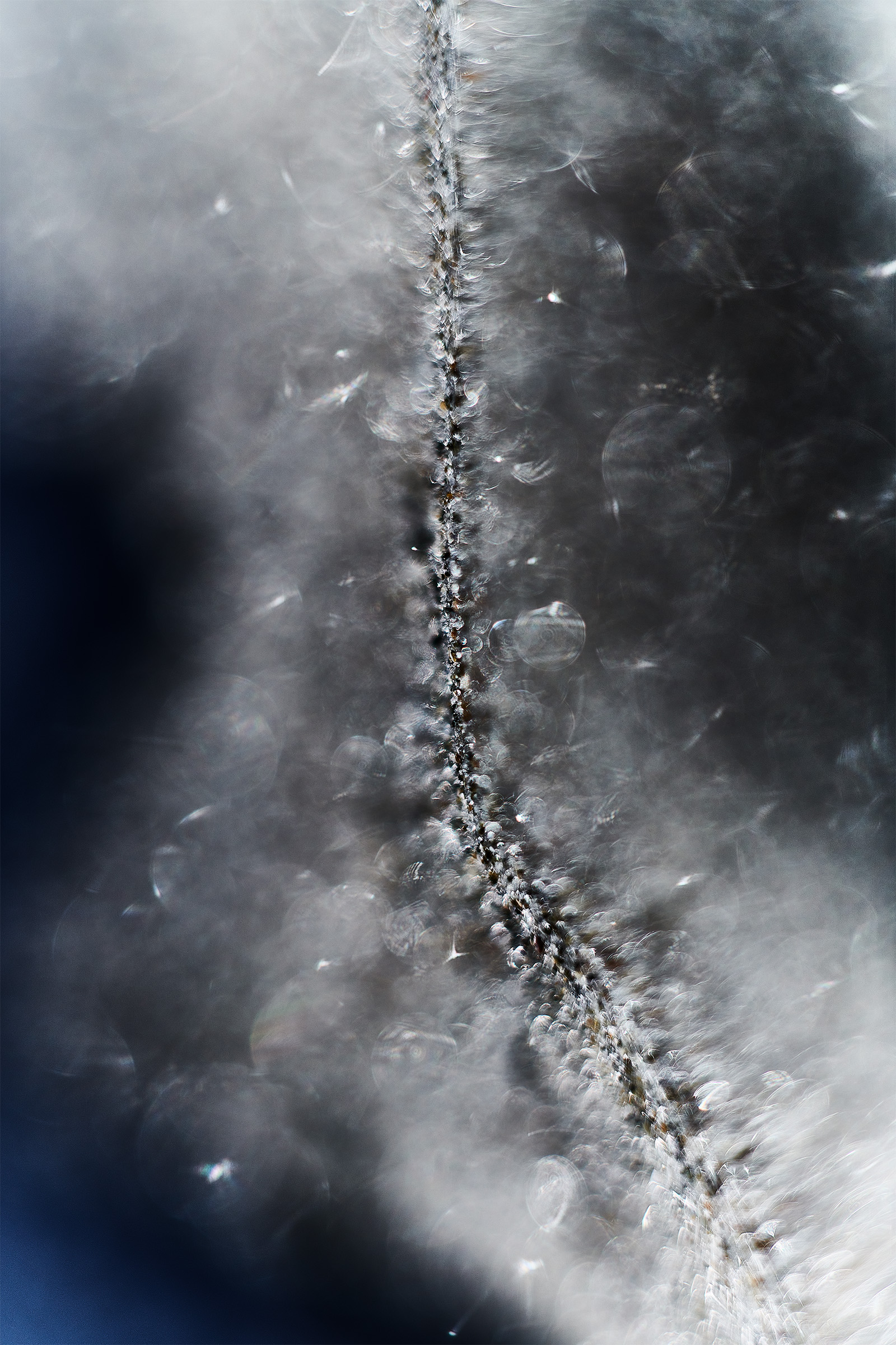 STRING-GALAXIES-COLLIDE-IN-THE-VOID.jpg