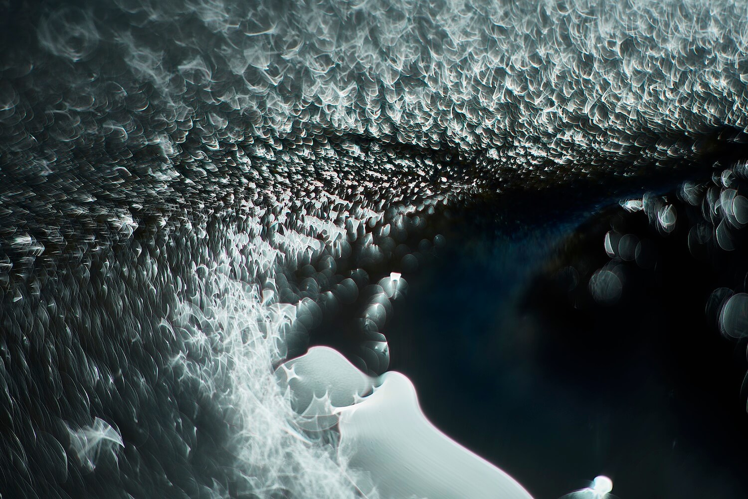 contact-4.jpg