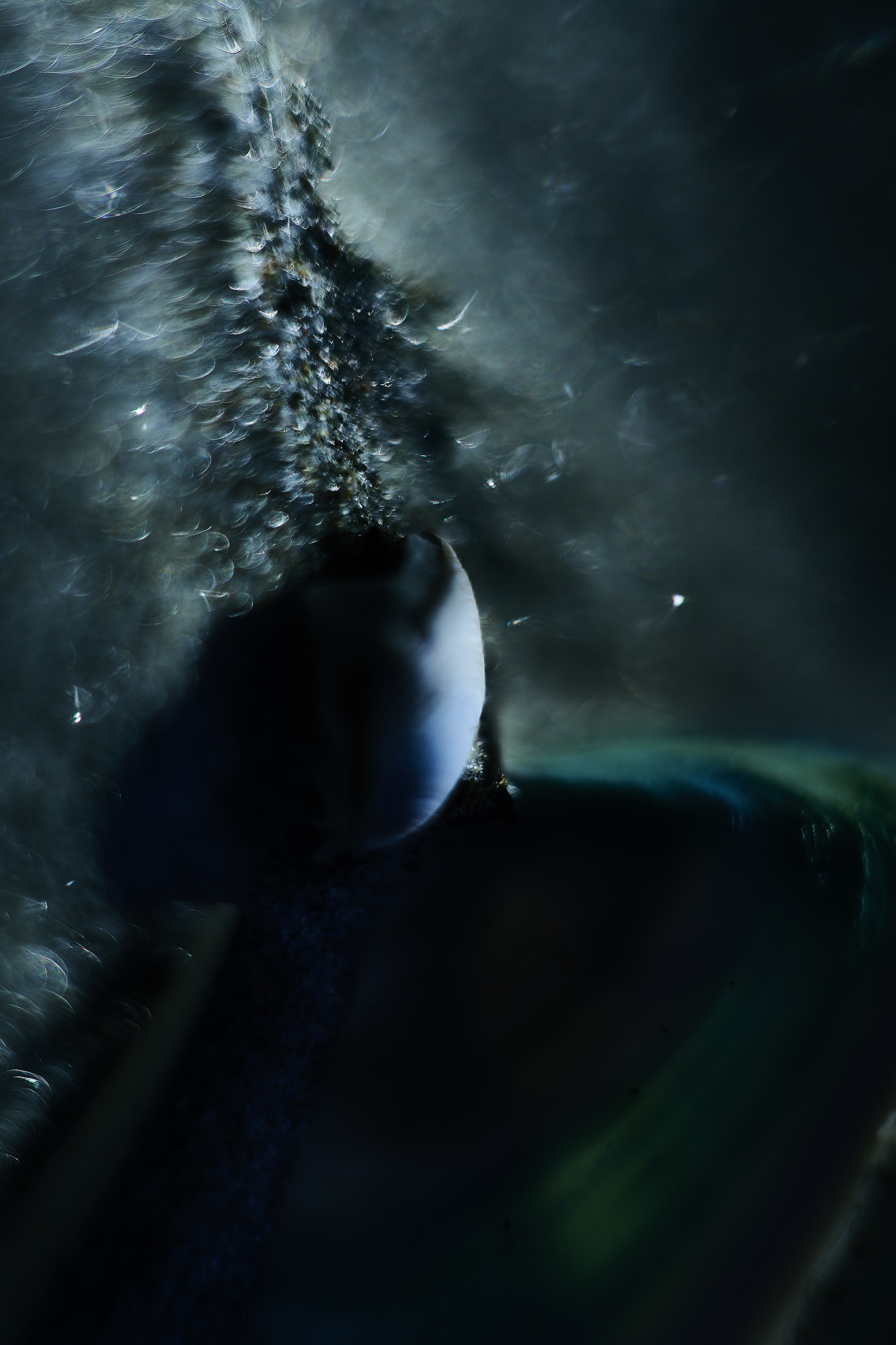 UNIVERSE-FINALS-1.jpg